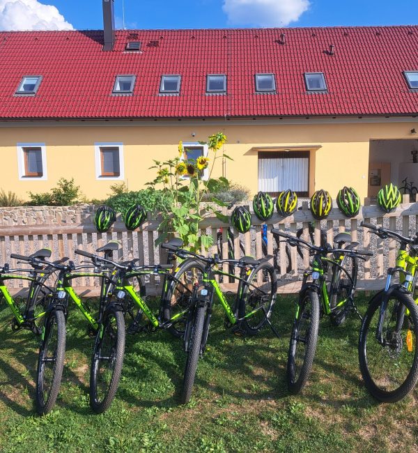 Kola zaparkována před chalupou