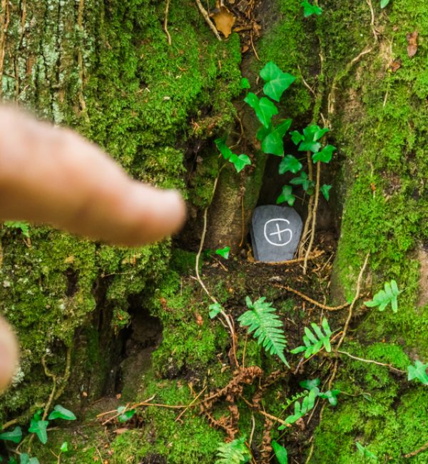 Geocaching showfinger ukazuje na geocache skrývající se s nápisem pod kořenem